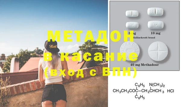 прущие грибы Верея