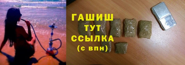 прущие грибы Верея