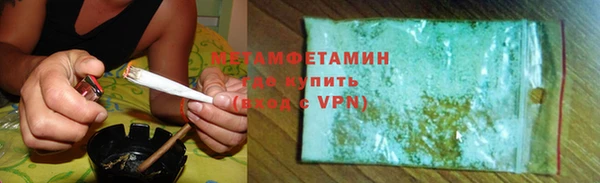 прущие грибы Верея