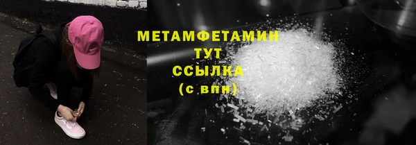прущие грибы Верея