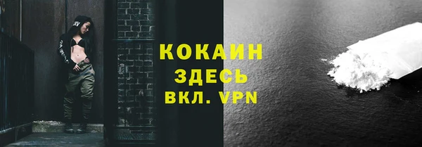 прущие грибы Верея