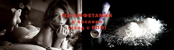 прущие грибы Верея