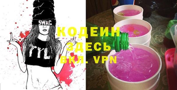 прущие грибы Верея
