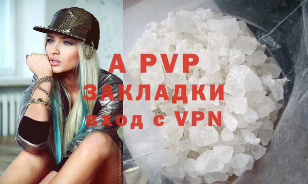 прущие грибы Верея