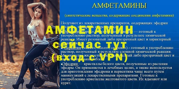 прущие грибы Верея