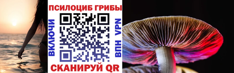 Галлюциногенные грибы Cubensis  наркотики  OMG онион  Новоузенск 